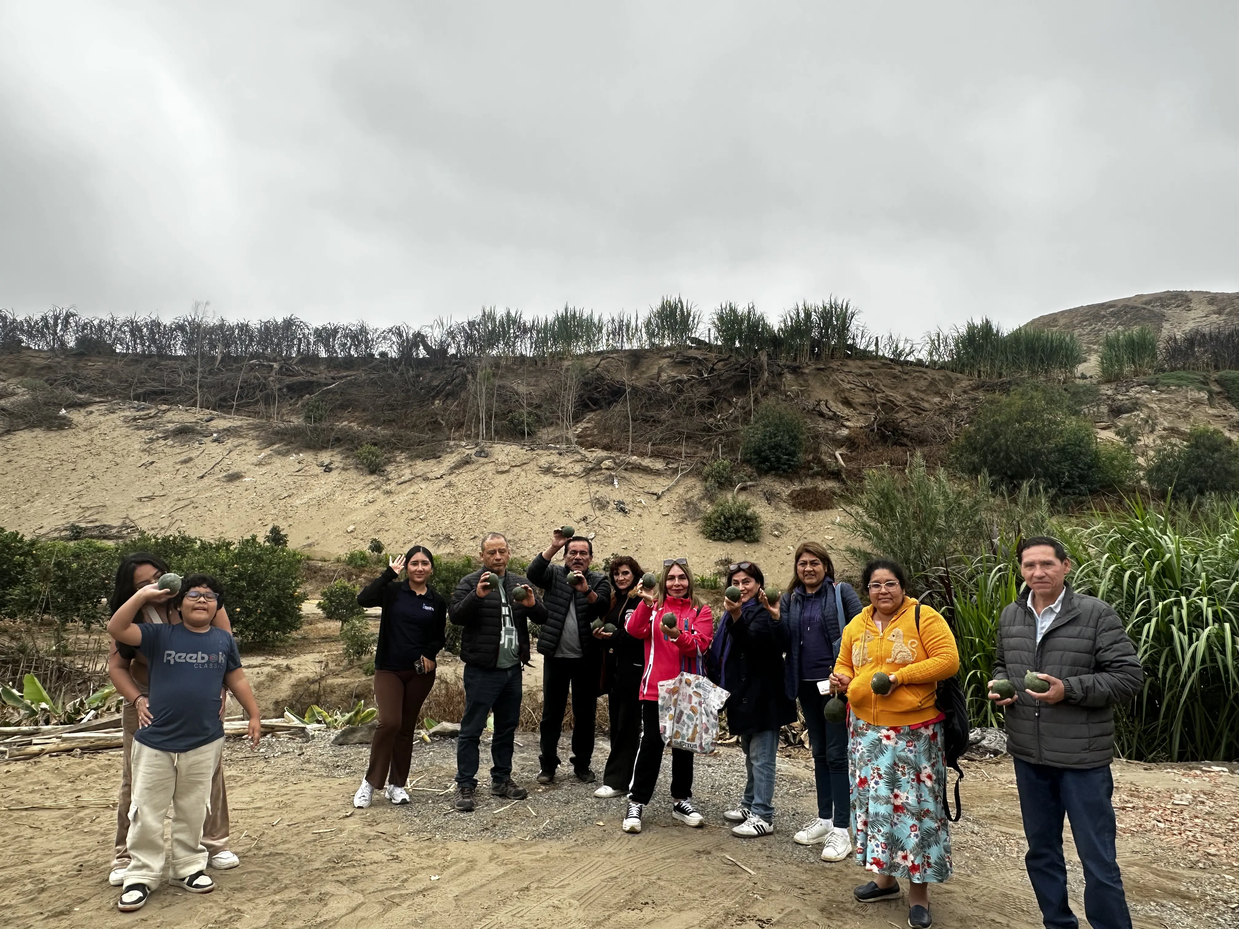 Avance del proyecto La Finca de Don Pedro en Huacho — foto 11