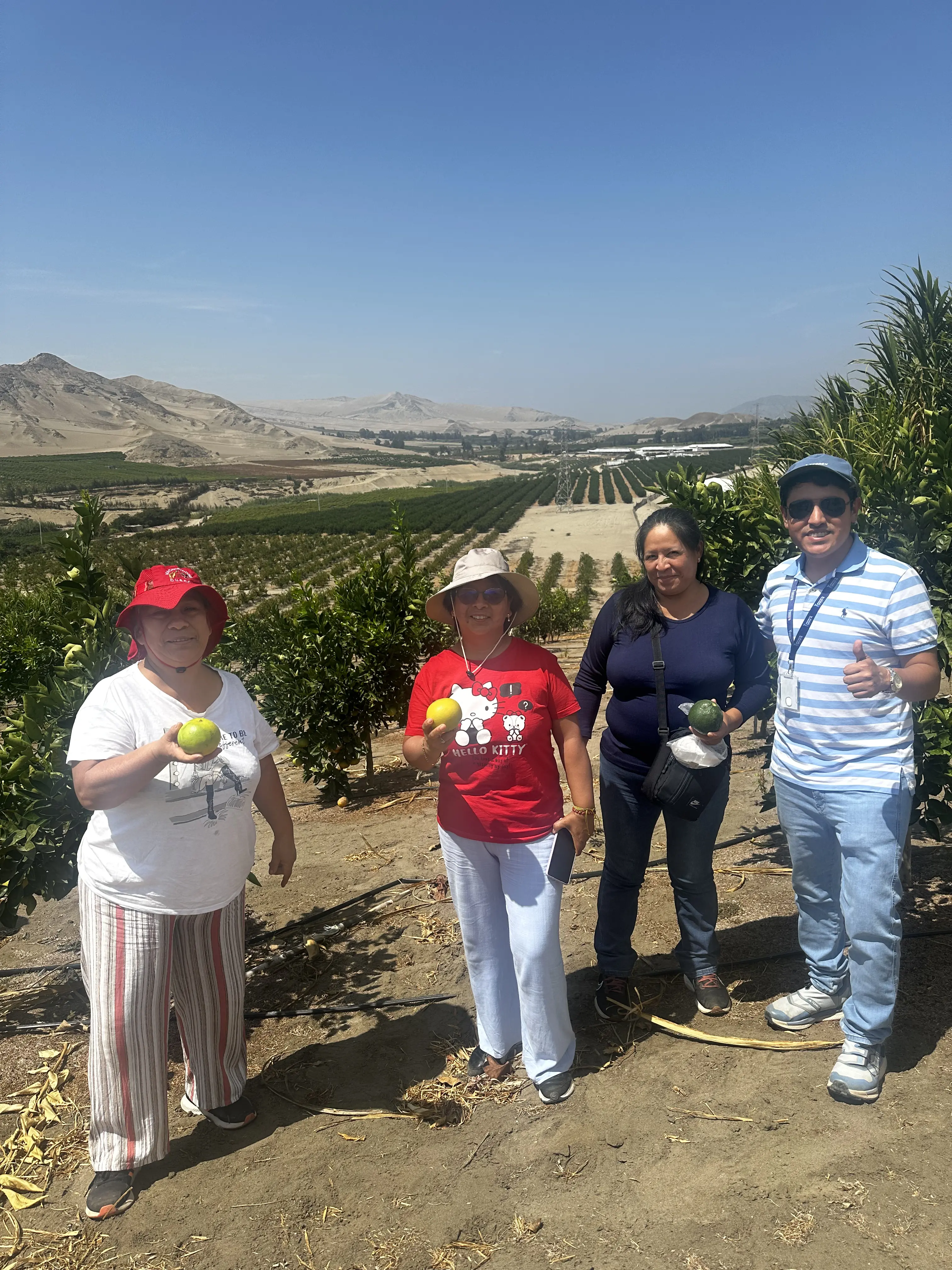 Avance del proyecto La Finca de Don Pedro en Huacho — foto 14