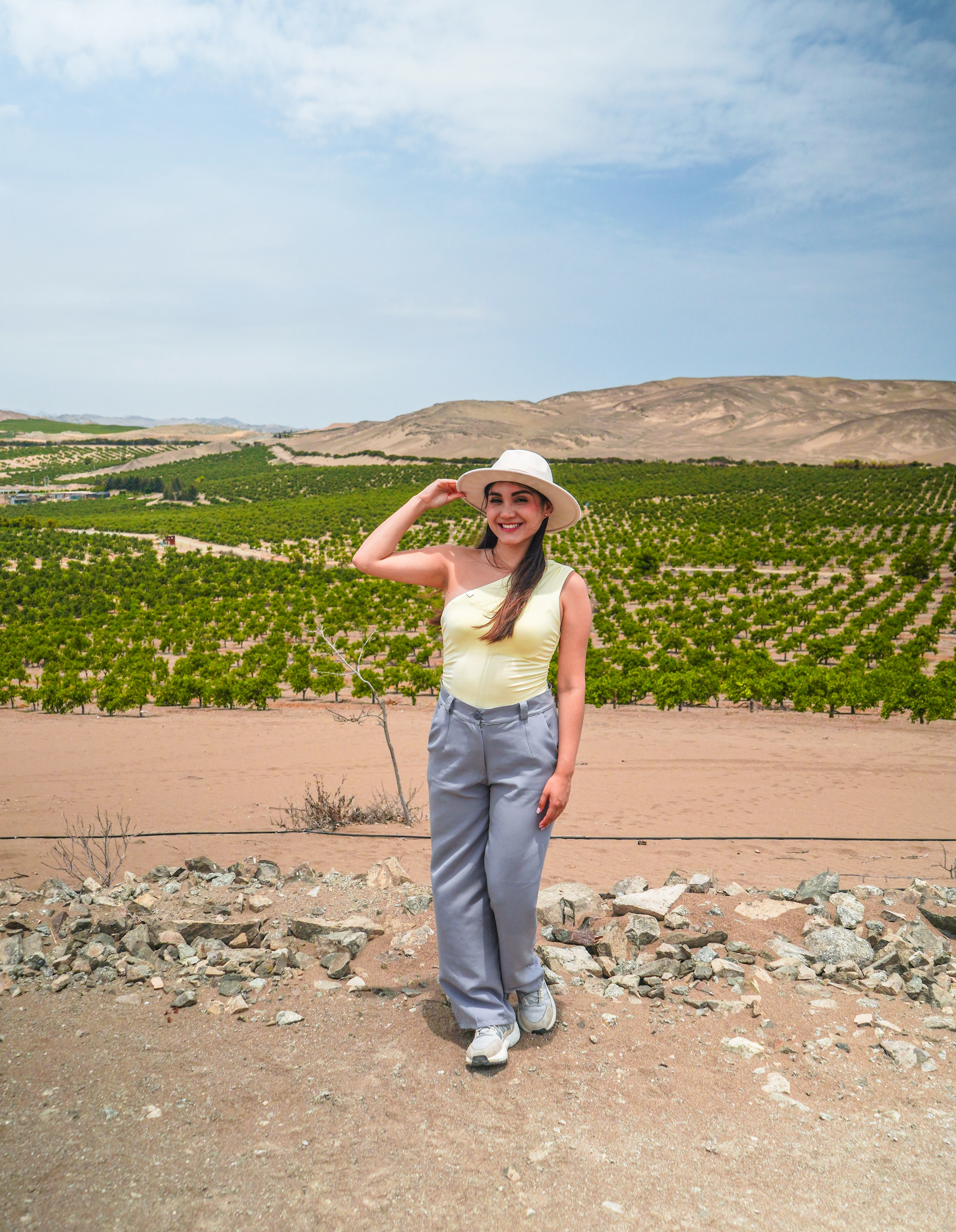 Avance del proyecto La Finca de Don Pedro en Huacho — foto 3