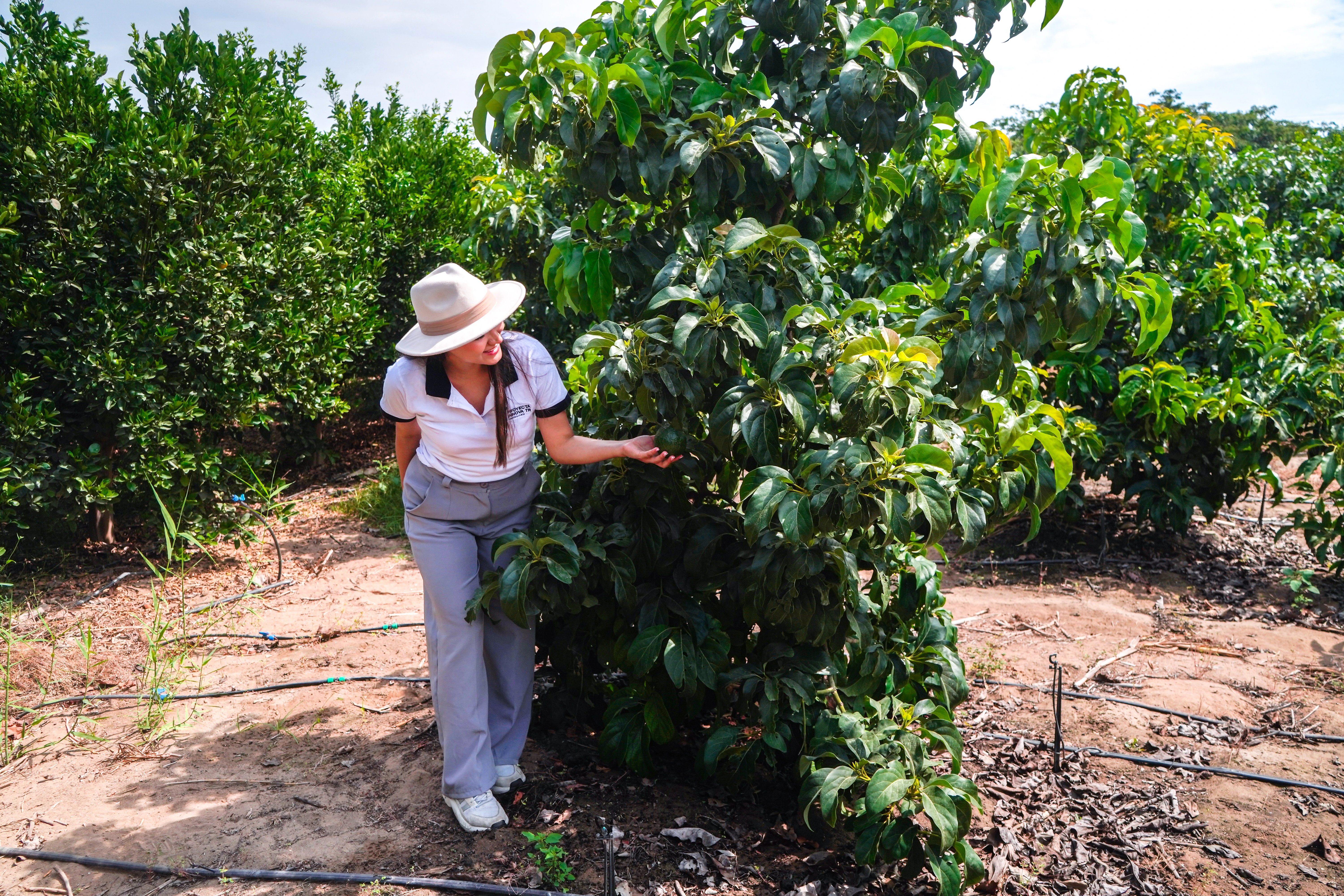 Avance del proyecto La Finca de Don Pedro en Huacho — foto 6