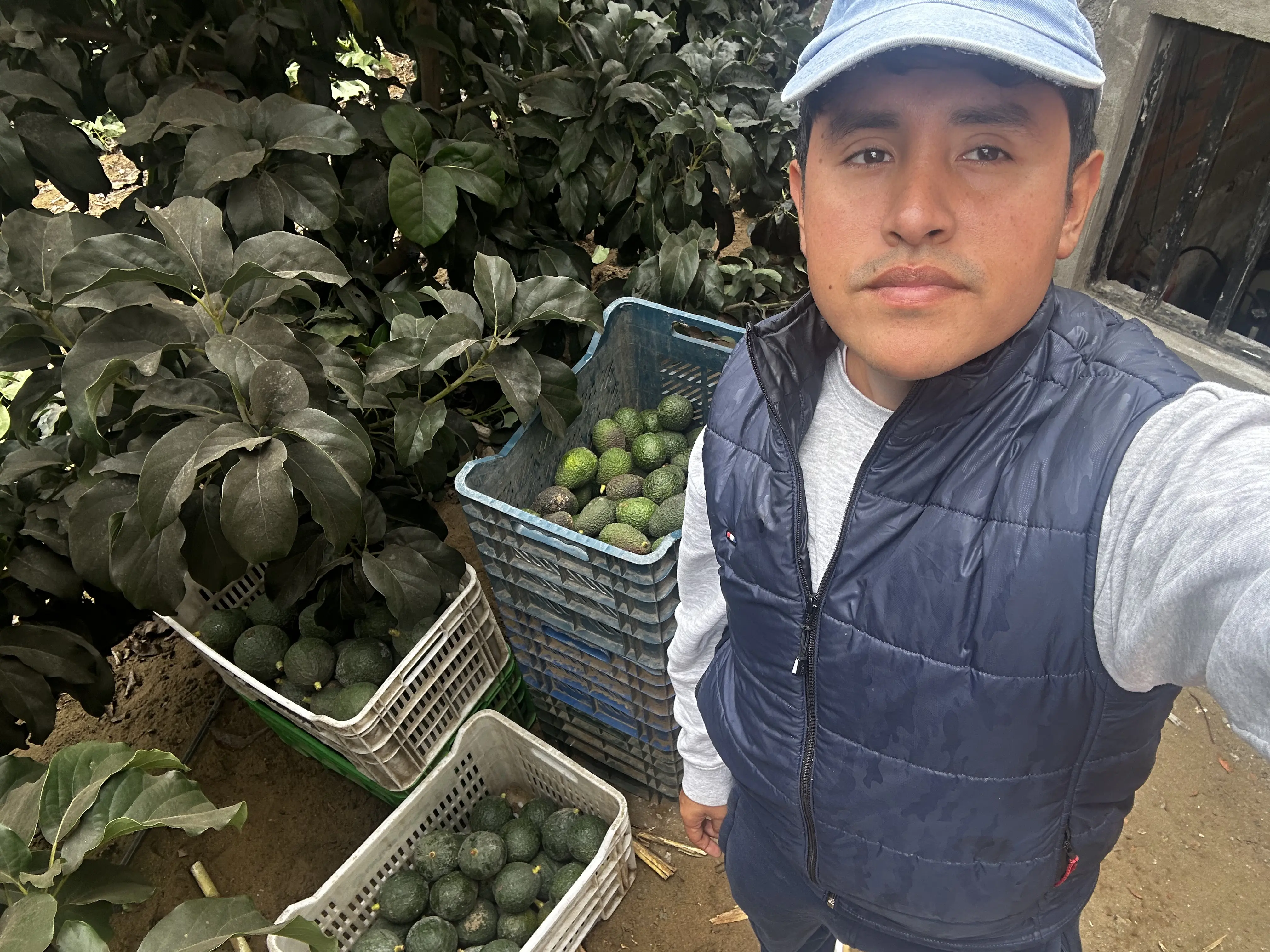 Avance del proyecto La Finca de Don Pedro en Huacho — foto 9